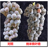 提升农产品品质