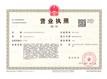 企业营业执照